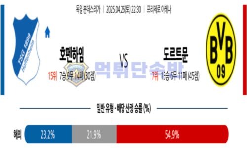 스포츠 분석