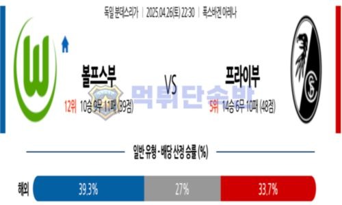스포츠 분석