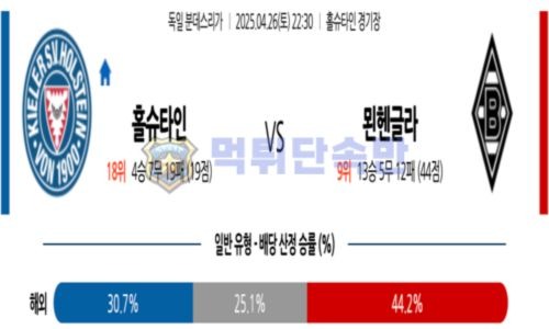 스포츠 분석