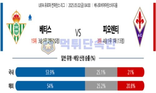 스포츠 분석