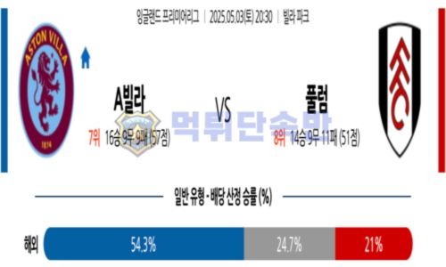 스포츠 분석