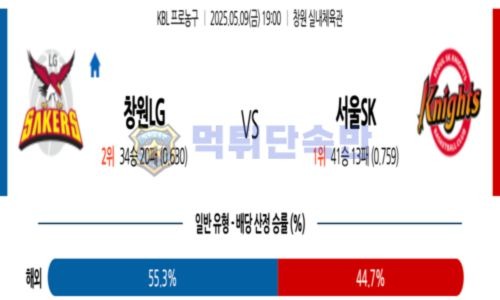 스포츠 분석