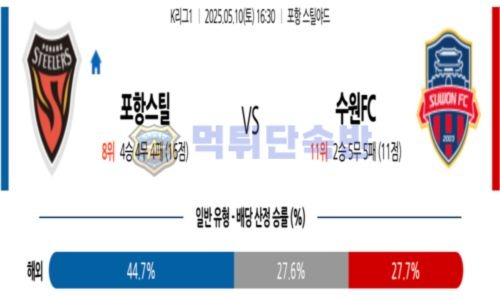 스포츠 분석