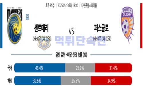 스포츠 분석