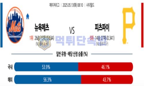 스포츠 분석
