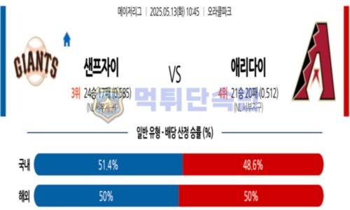 스포츠 분석