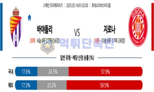 스포츠 분석