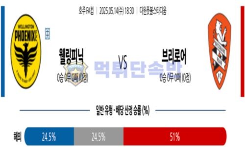 스포츠 분석