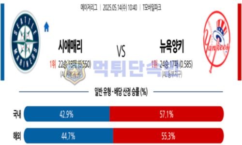 스포츠 분석