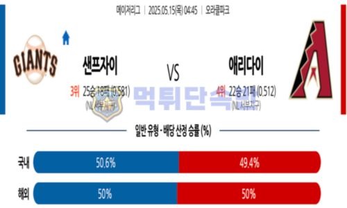 스포츠 분석