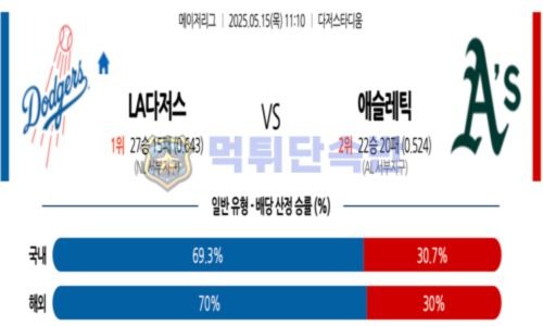스포츠 분석