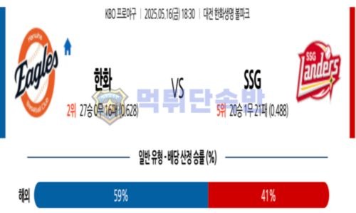 스포츠 분석