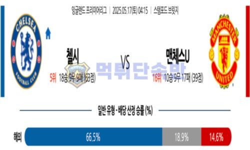 스포츠 분석