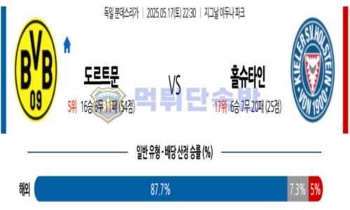스포츠 분석