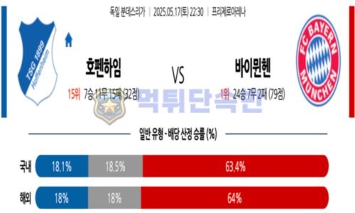 스포츠 분석