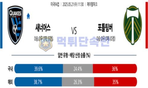 스포츠 분석