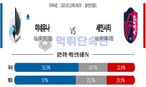 스포츠 분석