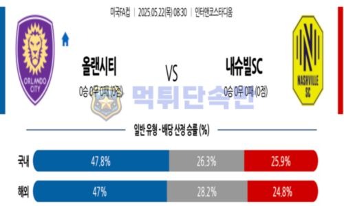스포츠 분석