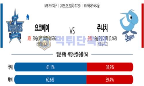 스포츠 분석