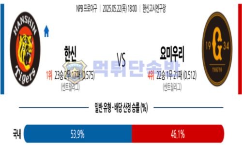 스포츠 분석