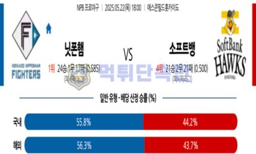 스포츠 분석