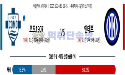 스포츠 분석