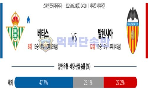 스포츠 분석