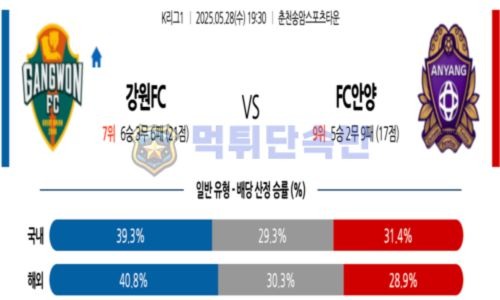 스포츠 분석