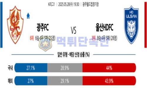 스포츠 분석