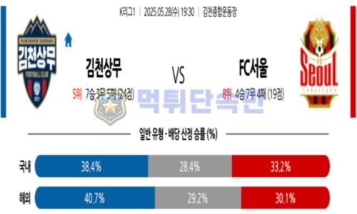 스포츠 분석