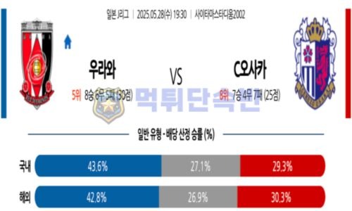 스포츠 분석