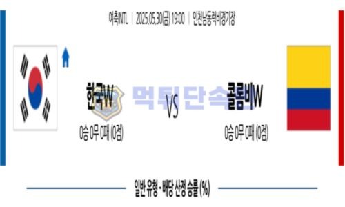 스포츠 분석