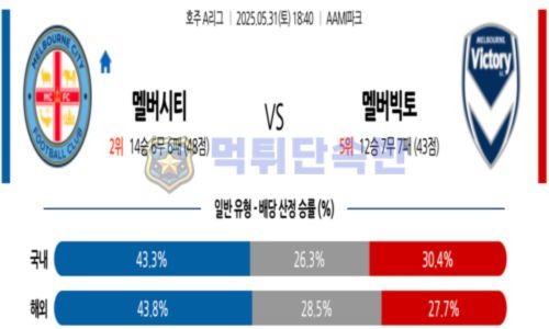스포츠 분석