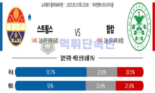 스포츠 분석