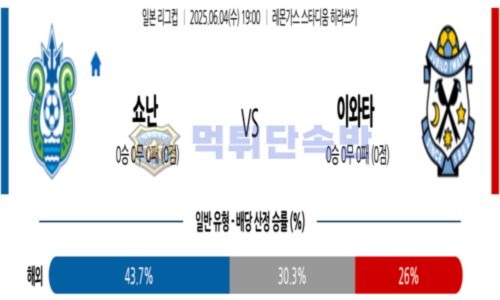 스포츠 분석