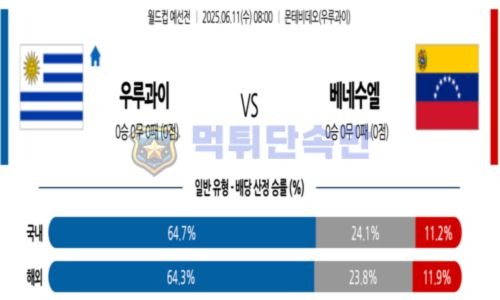 스포츠 분석