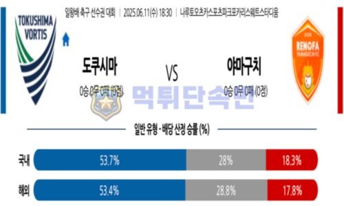 스포츠 분석