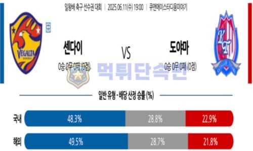 스포츠 분석