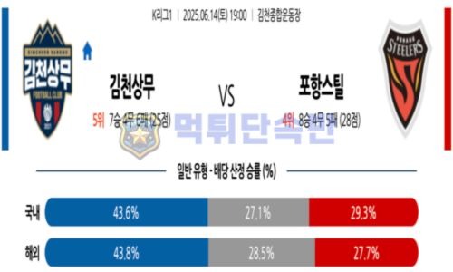 스포츠 분석