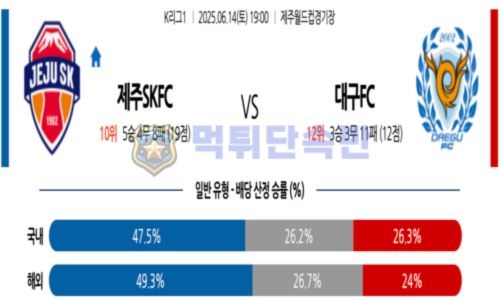스포츠 분석
