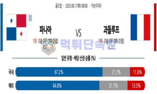 스포츠 분석