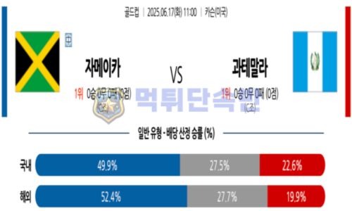 스포츠 분석