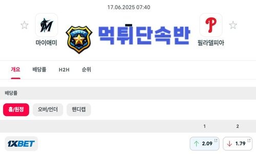 스포츠 분석