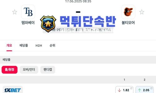 스포츠 분석