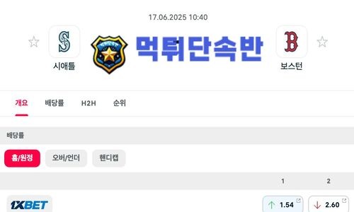 스포츠 분석