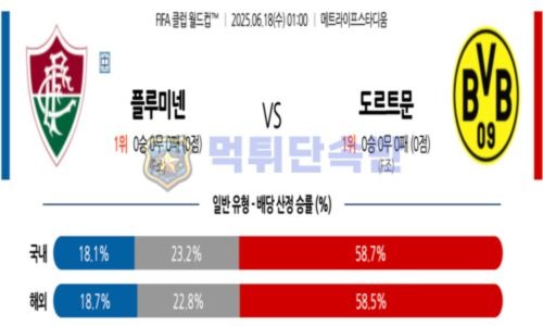 스포츠 분석