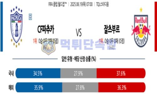 스포츠 분석