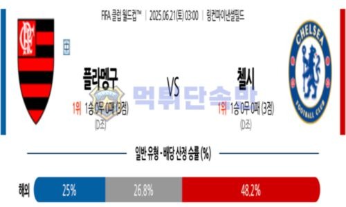 스포츠 분석