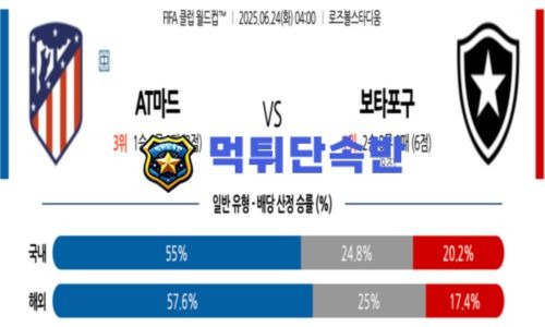 스포츠 분석