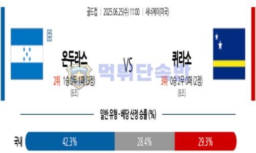 스포츠 분석